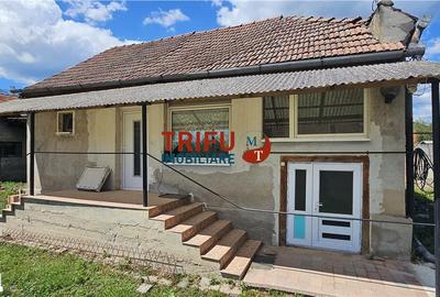 Casă cu 2 camere cu Teren 1534 Mp în Cricău - 4