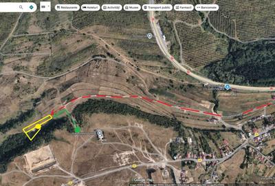 Spațiu comercial, în Feleacu - 4