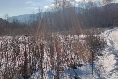 Teren agricol intravilan de 444 mp, în Central - 4