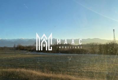 Casă individuală cu 8 camere cu Canalizare în Cârțișoara - 5