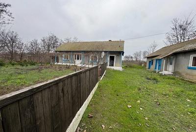Casă cu Teren 4000 Mp în Valea Nucarilor - 2