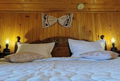 Oportunitate de investitie - pensiune de vanzare Moieciu de Jos - 16