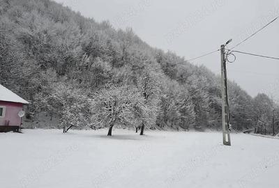 Casă cu 2 camere cu Teren 4721 Mp în Lunca Vișagului - 4