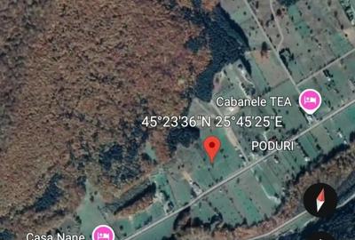 Teren de 3465 mp, în Trăisteni - 7