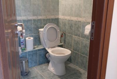 Piata Muncii-Campia Libertatii stradal - 14