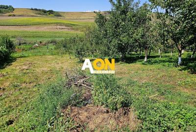 Casă individuală cu 3 camere cu Canalizare în Bucerdea Grânoasă - 14