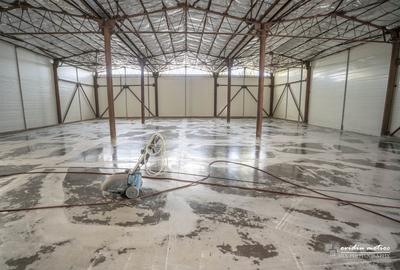 Hala 570 mp Calea Baciului - 2