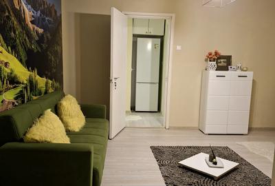 Apartament cu 2 camere semidecomandat, mobilat în Craiovei - 18