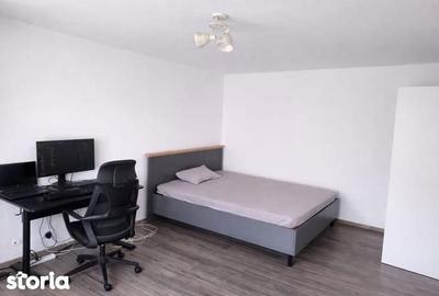 Garsonieră decomandată în Craiovița Nouă - 3