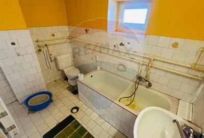 Casa Spatioasa cu teren Generos de 3416 mp in Tautii Magheraus - 16