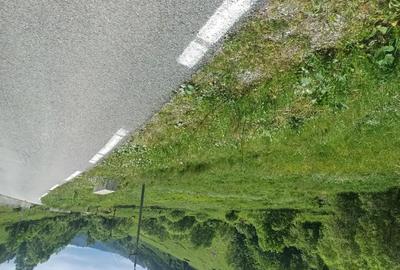 Teren de 3500 mp, în Muntele Băișorii - 9