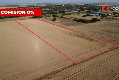 Teren Construcții intravilan de 24700 mp, în Pădureni (Jebel) - 5