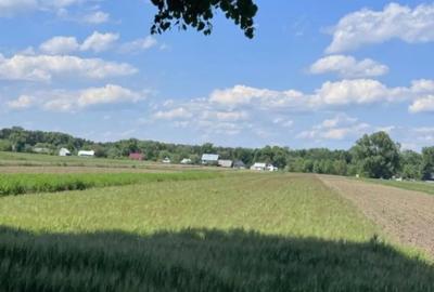 Teren de 4000 mp, în Frătăuții Vechi - 2