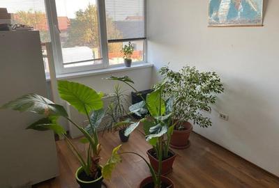 Hală + Clădire de birouri - 860 mp! Teren 2000mp. - 12