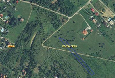 Teren intravilan, 2 877 mp, Frunzisului. 55 000 E. Comisi... Teren intravilan, 2 877 mp, Frunzisului. 55 000 E. Comisi... - 2