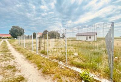 Teren Construcții intravilan de 596 mp, în Zimandu Nou - 18