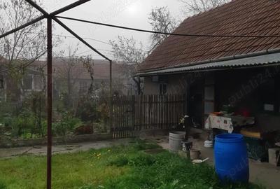 Casă cu 5 camere în Gavojdia - 4