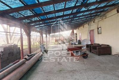 Casa individuala pretabila pentru pensiune, Giarmata - 22