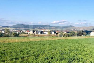 Teren de 600 mp, în Central