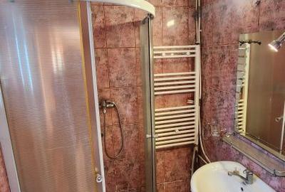 Casă cu 3 camere decomandat cu Canalizare în Viile Noi - 12