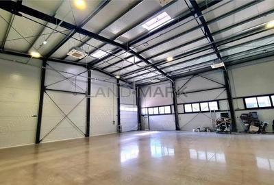 Hala noua de inchiriat , zona Lugojului - Aeroport Tmisoara - 1