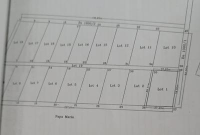 SUPER OFERTA - Teren intravilan Peris - 19240 mp lotizat  - doar 7 euro/mp - 3