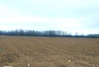 Teren de 15000 mp, în Gura Ocniței - 4