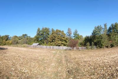 Spațiu comercial, în Mica - 7