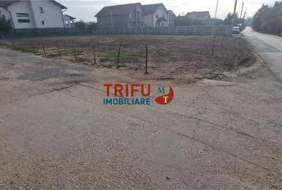 Teren cu o suprafață de 1093 mp, poziționat în zona Cetate, - 9