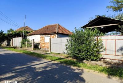 Casă cu 4 camere cu Teren 4600 Mp în Lăzăreni - 1