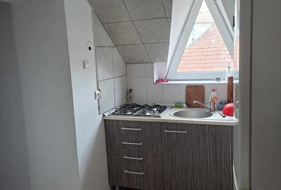 Garsonieră în Vasile Aaron - 1