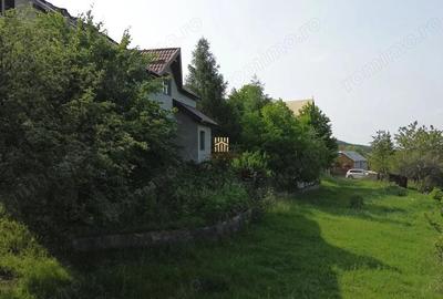 Teren 4800 mp cu Livada si Casa Nefinalizata - Adancata! - 2