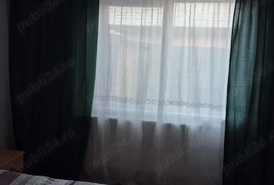 Inchiriez casa Preajba,com Malu Mare - 3