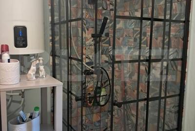 Cabana de vanzare in Marisel Cabana de vanzare in Marisel - 10