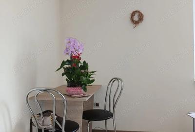 Inchiriere garsoniera, Centru, Balcescu, Sorin Titel - 5