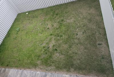 Prima închiriere! - 3