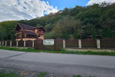 Casă cu 5 camere cu Teren 1000 Mp în Vețel - 18