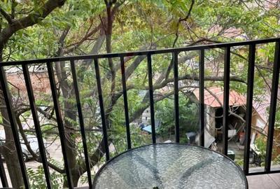 Apartament 2 camere cu terasa Gara de nord Apartament 2 camere cu terasa Gara de nord - 10