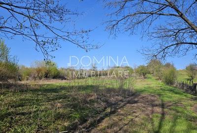 Vanzare teren 4606 mp - Sat Balta - Runcu - la aproximativ 20 km de Targu Jiu - 8