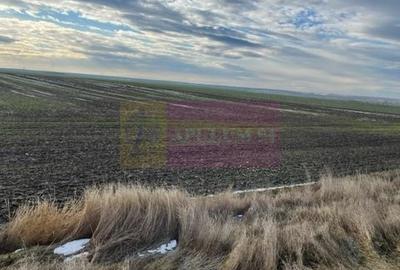 Teren agricol extravilan de 24108 mp, în Sud-Vest - 2