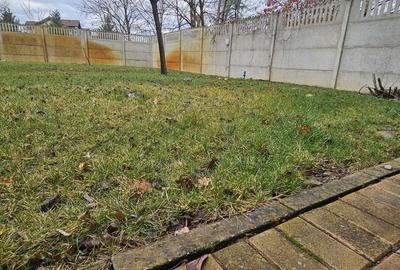 Casă cu 3 camere cu Teren 350 Mp în Vladimirescu - 5