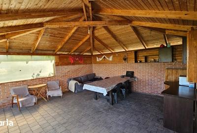 Casă cu 7 camere cu Teren 2870 Mp în Viișoara - 6