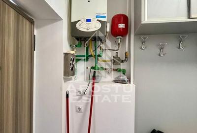 Doua apartamente la curte comuna,zona Traian - 8