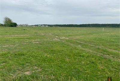 TEREN INTRAVILAN  852MP / FS 17ML / PIPERA / OXFORD / PADURE TEREN INTRAVILAN  852MP / FS 17ML / PIPERA / OXFORD / PADURE - 5