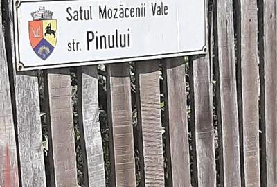 Casă cu 3 camere cu Teren 1300 Mp în Mozăceni - 5