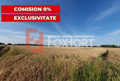 COMISION 0% Teren de vanzare intravilan de 24.700 mp - Padureni - 13