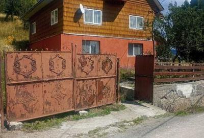 Teren de 10000 mp, în Albac - 2