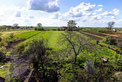 Casă cu 3 camere în Chesinț - 3