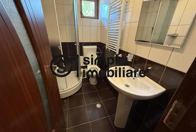 Spatiu Comercial Calea Bucuresti, langa Oltenia Garden - 9