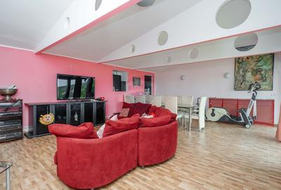 Casa / Vila cu 10 camere, de vanzare. Todireni, Botosani. - 26